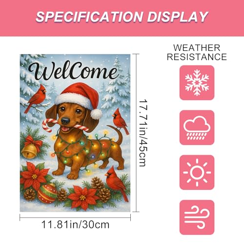 Image of BlissYard Christmas Garden Flag 12x18 Inch Welcome Dachshund Dog Outdoor Flag Double Sided Holiday Yard Banner with Santa Hat Lights Candy Cane and Red Bird for Porch Lawn Patio