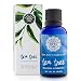 Woolzies 100% Pure Tea Tree Essential Oil, Antiseptic Theraputic Grade, 1 fl oz.