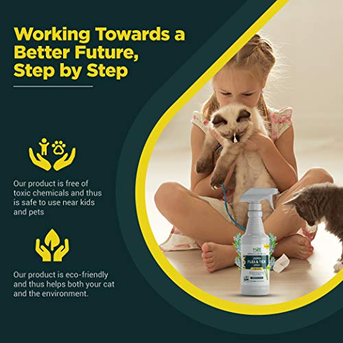 mdxconcepts Organic Flea and Tick Control Spray for Cats- Made in USA - Rosemary Oil flea Treatment for Cats–Flea Repellent 100% Natural –Essential Oils – Flea Killer - Safe to Use –16 oz - Thumbnail 4