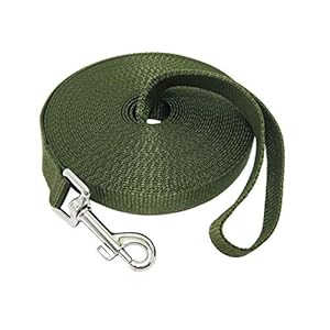 Nylon Training Dog Leash for Small Medium Large Dogs, 15ft 20ft 30ft 50ft Long Leash Dog/Puppy Lead for Obedience Recall Training, Camping (30ft, Green)