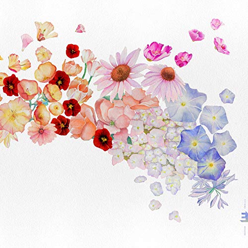 Album Art for Flor by Gretchen Parlato