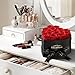 Auoasl 16 Preserved Flowers Rose in a Box, Gifts for Women Mom Her Wife on Mothers Day Valentines Birthday Christmas Anniversary Romantic(Red)