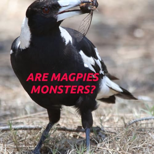 S04E39 - Are Magpies Monsters? Podcast Por  arte de portada