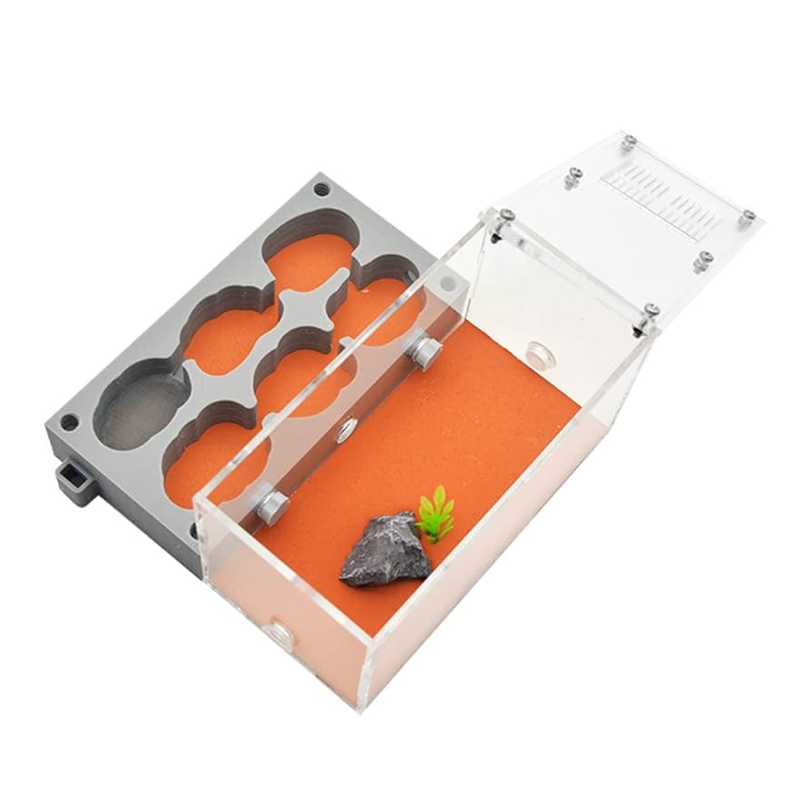 Amazon | アリの巣 3D 平面 アリの巣 観察キット 石膏製 蟻 飼育