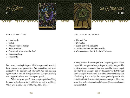 The Wild Elemental Oracle: (Oracle Kit Box Set with 44 Cards and Guide Book) - Image 8