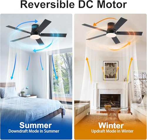 Image of Rayqueen 52 Inch Flush Mount Black Ceiling Fans with Lights and Remote