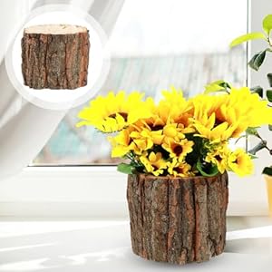ARTIBETTER Bark Planter Pot 2pcs Wood Bark Pot Natural Log Succulent Planter Pots for Indoor Plants Rustic Tree Stump Plant Pot Farmhouse Bucket for Home Art Decor