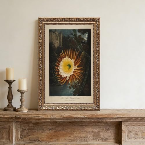 Impression sur toile Temple de Flora tableau de nuit avec cadre - 4