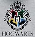 HARRY POTTER Niños Sudadera