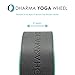 Dharma Yoga Wheel Basic - Spine Roller and Back Ring, Stretches Ligaments, Muscles with Foam Padding for Deeper Poses | Yogic Stretching and Alignment with Circle Design