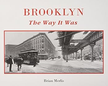 Hardcover Brooklyn, the Way It Was Book