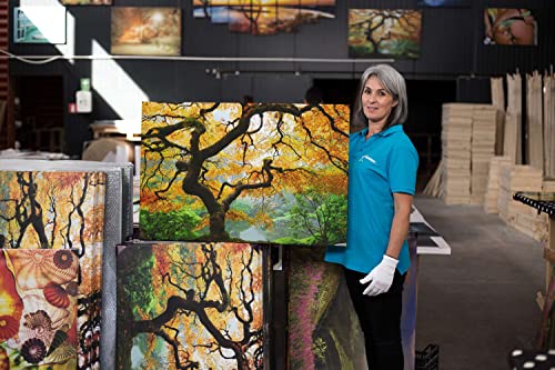 Startonight キャンバス ウォールアート 木のアート 風景 湖 自然 森 M DTB0613 [5]