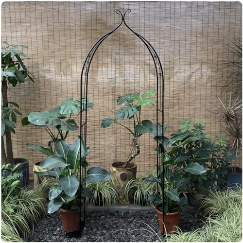 鉄製アーチ 1個 ガーデンアーチ ローズアーチ 錆びない フラワーアーチ トレリス パイプ径 13mm バラ 用 アーチ 幅80 120×奥行30×高さ205cm アイアン 薔薇アーチ ガーデニング バラ 用 アーチ ガーデンアーチ クライミングプラント用