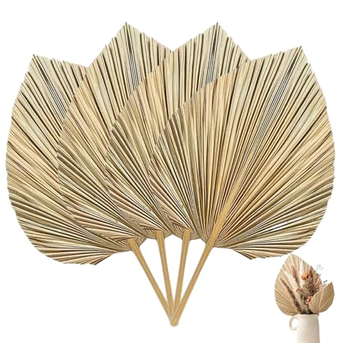 La mejor selección de Hojas secas - los preferidos. 45 Hojas de palma secas 4 piezas hojas de palma 17x9 inch hojas de palma secas naturalmente para decoración hojas de palma doradas bohemias con tallos ramo de hojas de palma...