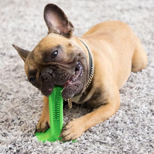 Image of Chew Toy for Dog Toothbrush Stick Dog Toys for Aggressive Chewers Interactive Toys Treats Tough Toy to Keep Them Busy Chew for Small Dogs (Green, M)