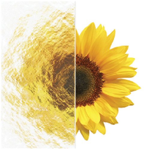 Foremost Tdst6058-Ob-Or Tides Framed Sliding Tub Door-Tdst6058-Ob-Or #TOP1