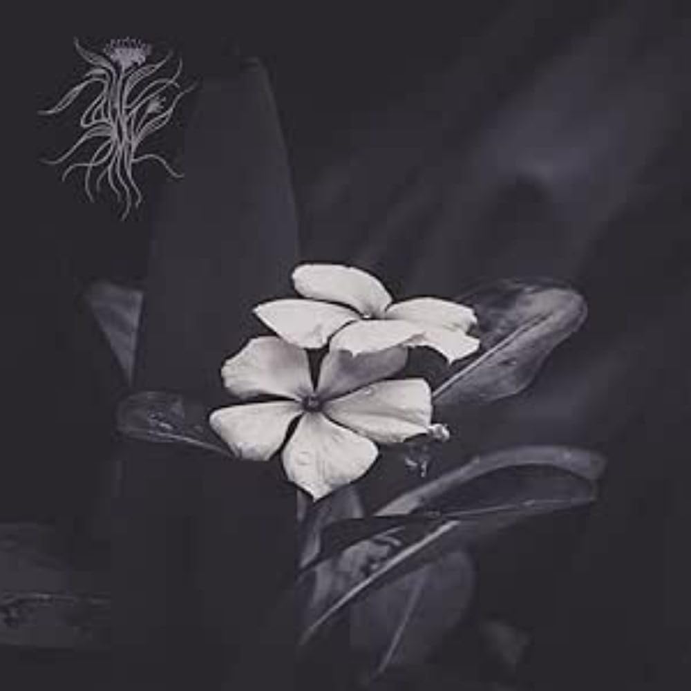 Ephemeral