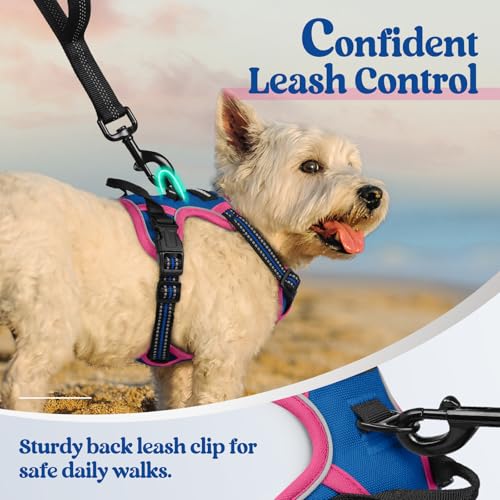 Image of rabbitgoo Dog Harness No Pull with 2 Leash Clips, Adjustable Soft Padded, Reflective Oxford No Choke Pet Vest with Easy Control Handle for Large Dogs, Blue & Hot Pink, XS