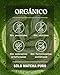 Imagen de NaturaleBio Té Matcha en Polvo Orgánico, 100g