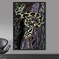 Framed Canvas Wall Art Snake Contemporary Dramatic Hallway Multicolor Photography Reptiles Snakes - 16x24 inches