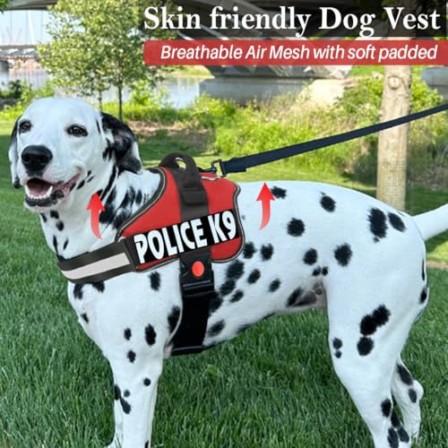 Image of Berlin's Police K9 Dog Harness with Leash, Dog Vest with Handle, Reflective Adjustable No-Pull Harness for Dogs Heavy Duty Nylon, for Training, Patrol, Hiking (Red, Small (5-12Kg))