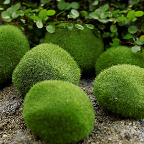 Tank Decoration Artificial Moss Stone Resin Water Plant Setting Green Grass Ball Decorative Plants Scenery 3Pcs(S)