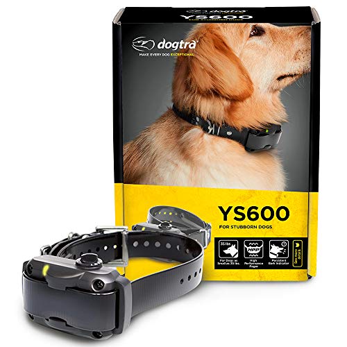 Best Dogtra Bark Collars For Dogs