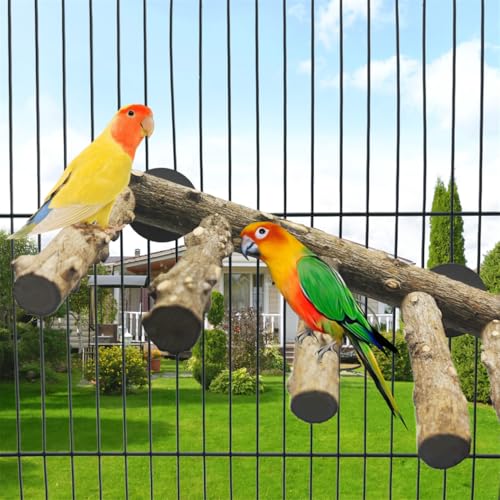 Image of Parrot Wood Stand,10 Inch Long Bird Cage Wood Perch Toys, Natural Bird Ladder for Small & Medium Parrots, Monk Parakeets, Cockatiels,Sun Conure, Green Cheeks, Lovebirds,Budgie