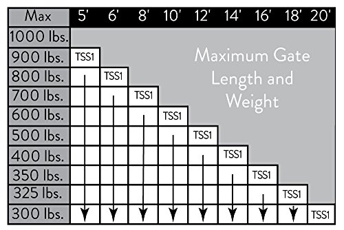 Ghost Controls Heavy-Duty Automatic Gate Opener Kit For Swing Gates With Long-Range Gate Opener Remote - Model Tss1 #TOP5