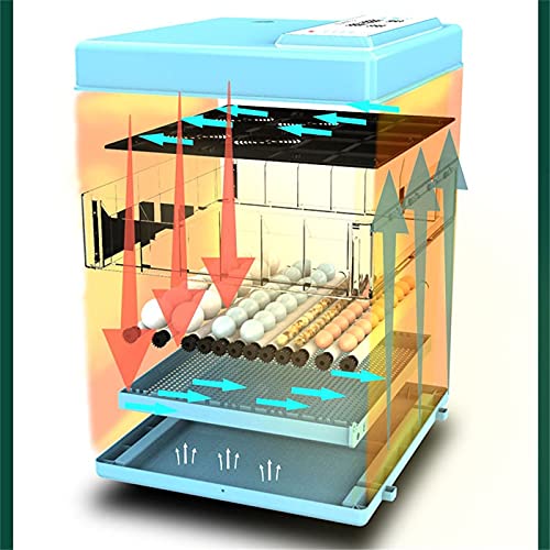 Vollautomatischer Inkubator 36-504 Eier, Inkubator mit LED-Temperaturanzeige und Präzisem Temperatursensor, Temperatur… – Bild 6