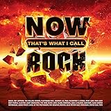 rock sampler von der lahn  Now That\'s What I Call Rock / Various [Vinyl LP]