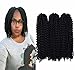 3 Packs/lot (Total 9 Bundles)Eunice Hair Marlybob Crochet Hair Afro Kinky Curly Hair Crochet Braids Curly Wave Crochet Braiding Hair Synthetic Hair Extension 3 Bundles/Pack 3 Packs/Lot (8 inch, black)