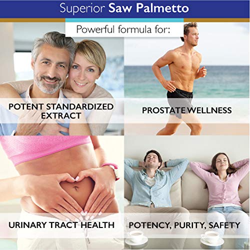 Superior Labs — Saw Palmetto Extract Nongmo, Non Synthetic— 300 Mg Dosage, 120 Vegetable Capsules — Supports Urinary Tract Flow & Frequency #TOP3