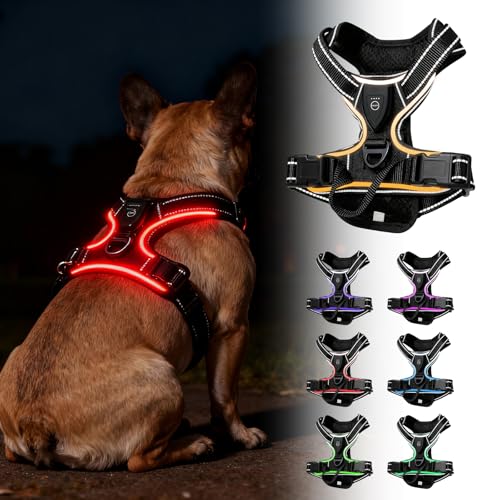 Hundegeschirr Leuchtend, LED Hundegeschirr Aufladbar mit Griff, Leuchtgeschirr LED Verstellbar, 7 Farben Leucht Brustgeschirr Anti Zug Atmungsaktivität & Komfort für Hunden 7.5-17.5kg(Schwarz, M)
