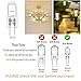 Snnalosses G4 Bulb,12V 20W Halogen Light Bulbs 2 Pin,G4 Light Bulbs for Under Cabinet Puck Light,Microwave,Chandeliers, Accent Lights, Track Lighting,Dimmable,Warm White,12Packs