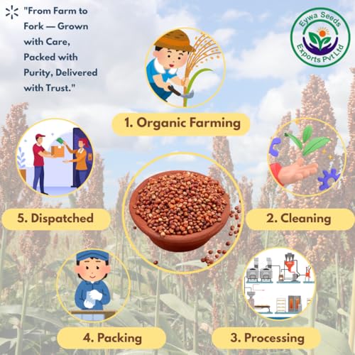 Image of Eywa Seeds & Exports Pvt Ltd Organic Red Sorghum Flour(2 Kg) /Red Cholam /Jowar /Jonna /Jola For Eating & Cooking|Produce Of India From Organic Farms