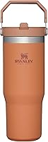 Vista 105 de Stanley IceFlow - Vaso con pajilla abatible con asa, de 20 onzas, tapa giratoria y popote abatible, botella de agua resistente a fugas, acero