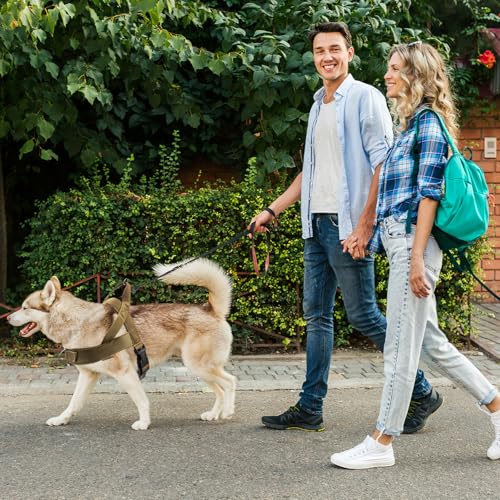 Ennoxwi Hundegeschirr L für Mittelgroße und Große Hunde, Verstellbares Anti-Zug Brustgeschirr, Atmungsaktives und Gepolstertes Hundegeschirr für Training, Walking und Outdoor-Aktivitäten, Braun