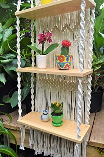 Macrame Wall Hanging Shelf-Ideal Décor-Plants Storage Bookshelf-Bohemian Decorative Shelves-Boho Floating Indoor Shelving–For Bedroom Kitchen Bathroom Room With Window Plant Hanger 3 Tier Diamond #TOP6