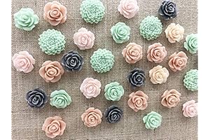 24Pcs Decorative Pushpins, Cork Board Tacks, Bulletin Board Tacks, Thumb Tack Decorative...