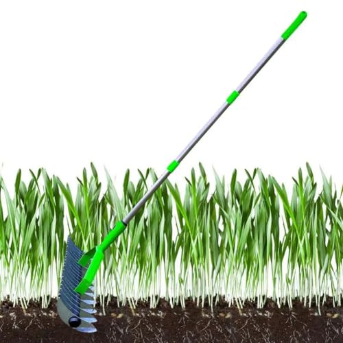 Aireador de césped manual con mango de 1,3 m para aireación del suelo, eliminación de musgo y mantenimiento de jardín