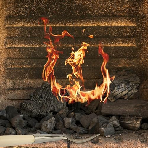 Feuerstellen-Ascheschaufel, Langstielige Feuerstellen-Schaufel, Pizza-Ofen-Reiniger mit Holzgriff, Kaminkelle Holzkohle-Grill-Ascheharke Gartenarbeit Kaminwerkzeug, für Haushalt Camping Küche