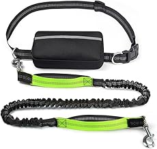 Hands Free Bungee Dog Leash with Waist Pouch for Running Walking Hiking & Training | Ideal for Medium to Large Dogs | Adjustable Waist Belt Dual Handle Shock Absorbing & Reflective