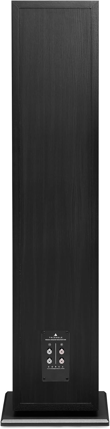 Rear view of the triangle Borea BR10 Tower Speaker showing the dual terminal binding posts.