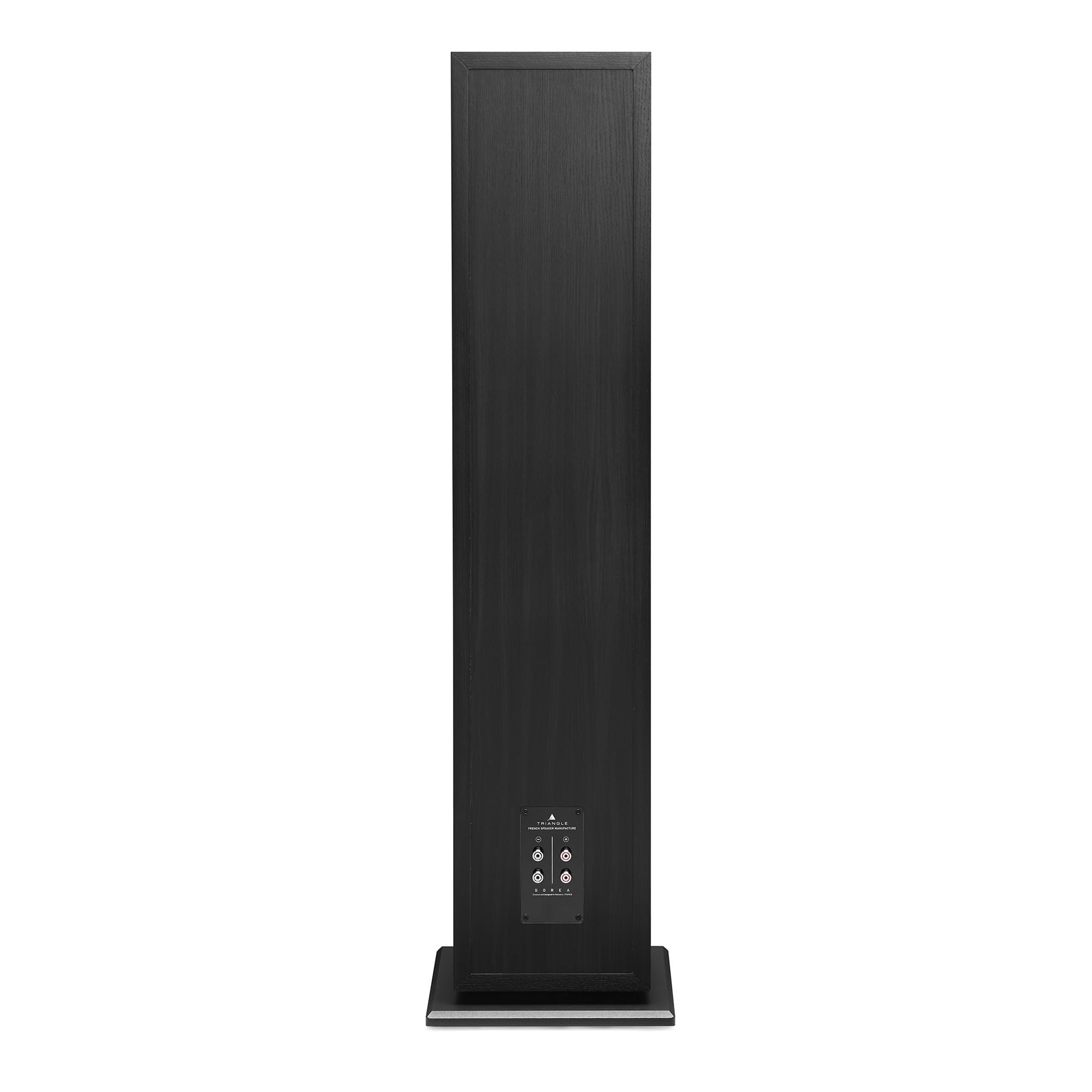 Triangle - Enceinte Colonne Hi-FI BOREA BR10 - Puissance Admissible 200W - Rendement 92 DB/W/m – Haut-parleurs 21 cm – Polyvalente Musique et Home-Cinéma - 245 x 1110 x 380 mm - Noir (Pièce)