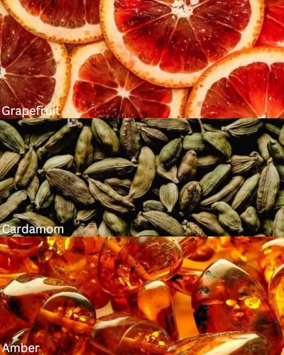 Image of TOXICMALE ADG + Oud wood Perfect Long lasting Men's perfume for office & Daily use| perfumes for men | Gift for him | TMA04 | 50 ml perfume | TM Perfume House