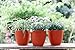 GARDENIX DECOR Self Watering Pots for Indoor Plants 3 Pack - Flower Pot with Water Level Indicator for Plants, Grow Tracking Tool - Self Watering Planter Plant Pot - Coco Coir - Terracota