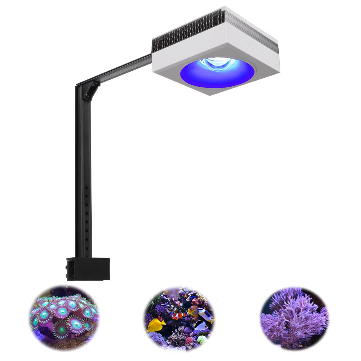 PopBloom RL90 LED Aquarium Light, Full Spectrum Aquarium Light for 16-24Inch Marine and Saltwater Tanks, Fish Tank Light with Wired Timer and Adjustable Brackets