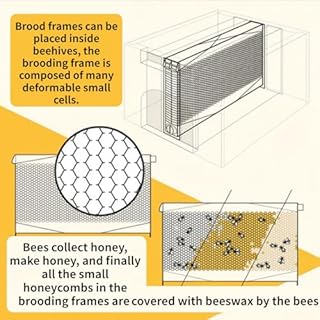 Bee Hives Starter Beekeeping Kits Flowing Honey Bee Hive Box Starter Kit with 7 Beehive Frames Built in Honey Extraction System for Backyard Beekeeping, Cottage Style Beehive