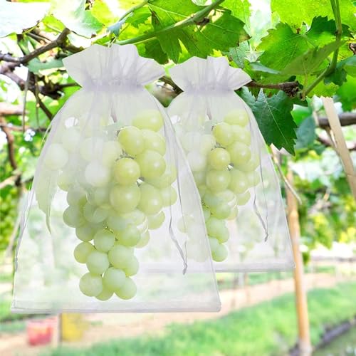 60 bolsas protectoras para frutas, uvas blancas, 30 x 40, con cordón, protección para uvas, protección contra avispas